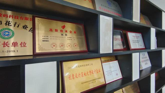 张为海：技术为笔、时尚为题绘就数码印花新图景！(图14)