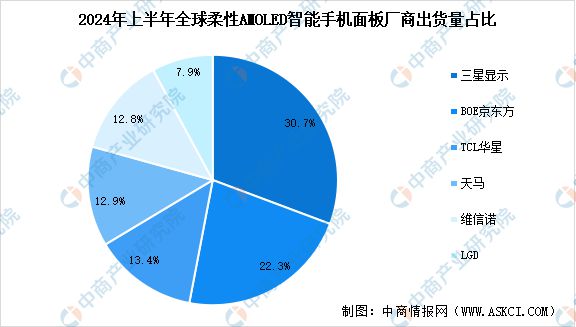 2024年中国新型显示行业市场前景预测研究报告（简版）(图7)