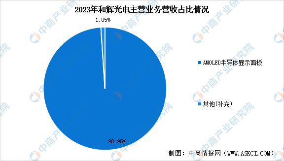 2024年中国新型显示行业市场前景预测研究报告（简版）(图19)