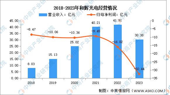 2024年中国新型显示行业市场前景预测研究报告（简版）(图18)