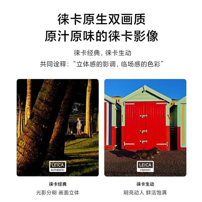 转转集团：双十一期间智能数码订单同比增长70%(图2)