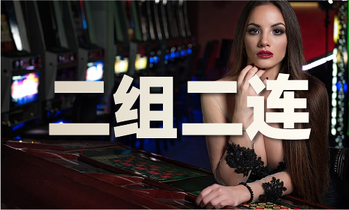 澳彩精准参考资料V