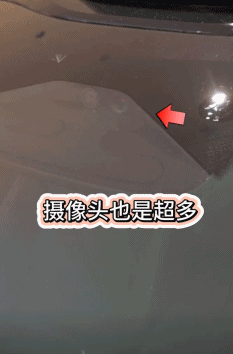 “省的油钱全被它割了韭菜”隐形消费打破新能源车省钱神话(图9)