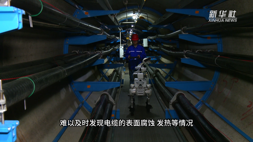 看环球传媒网关注实况微信(图2)