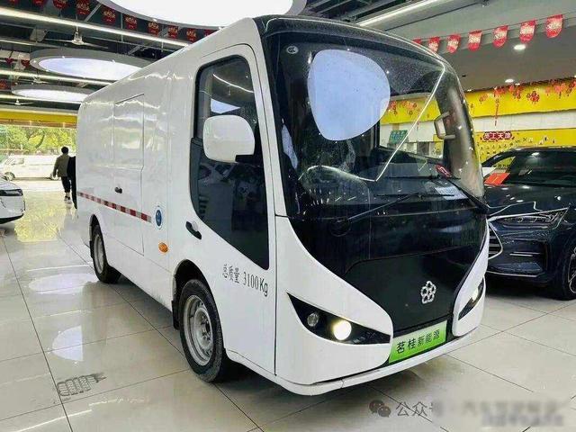 董明珠终于成功造车车标一出惊艳众人一看价格：你疯了吧？(图2)