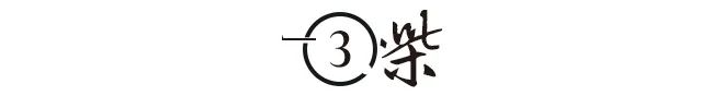 闷声发大财！中国手机界迎来新王者连续三季度销冠反超华为？(图9)