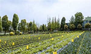 2024年智能手机行业市场发展现状及未来发展前景分析(图6)